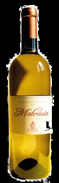 Malvasia - Guglielmini